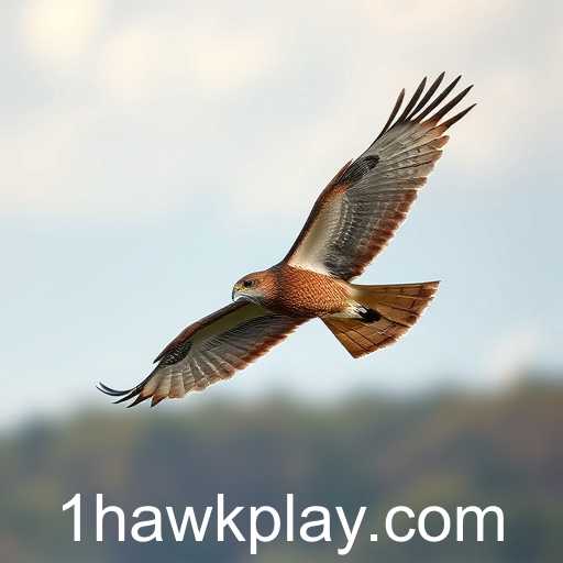 Hawk Play Soars in 2025 Online Gaming Scene